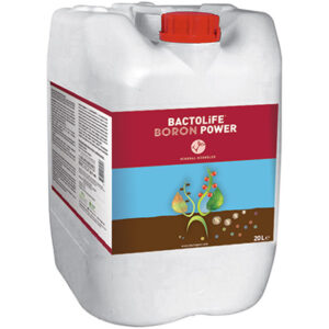 BACTOLIFE BORON POWER