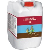 bactolife-boron-power